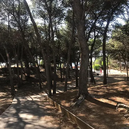 Sulla Spiaggia Gallipoli